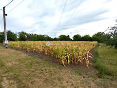 Eladó földterület Békéscsaba
