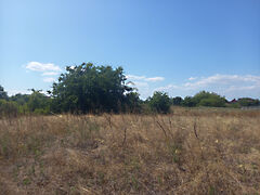 Eladó földterület Baja