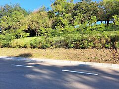 Eladó földterület Miskolc