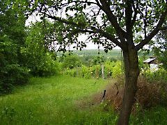 Eladó földterület Martonvásár