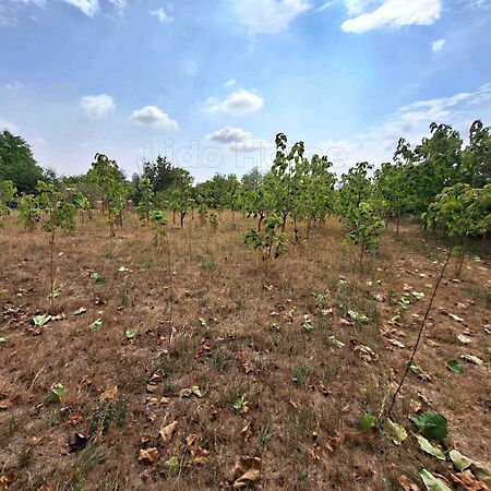 Eladó földterület Mezőkomárom