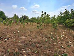 Eladó földterület Mezőkomárom