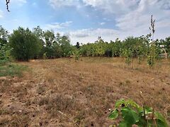 Eladó földterület Mezőkomárom