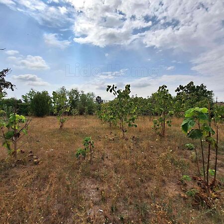 Eladó földterület Mezőkomárom