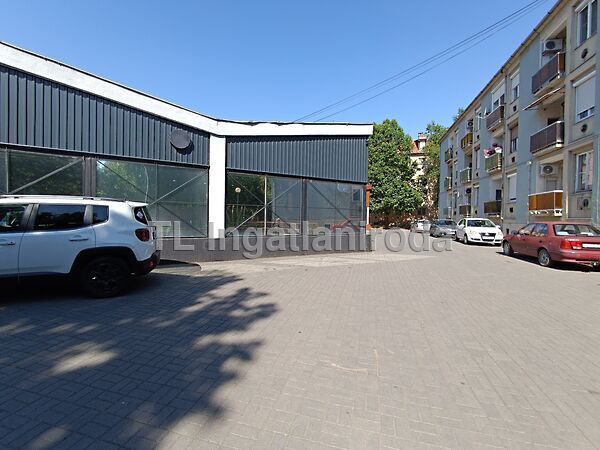 Eladó üzleti Hódmezővásárhely, Csúcs