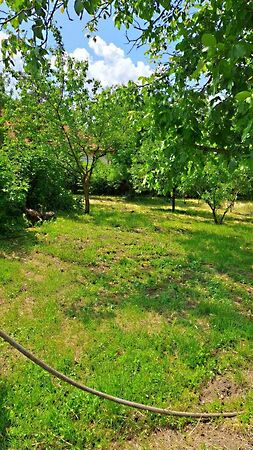 Eladó földterület Nyíregyháza