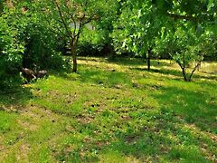 Eladó földterület Nyíregyháza