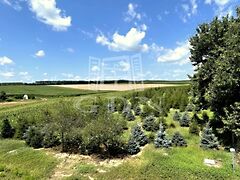 Eladó földterület Rigyác