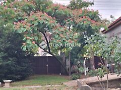 Eladó ház Nagykőrös