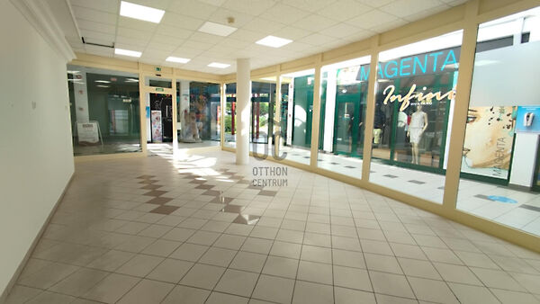 Kiadó üzleti Ajka