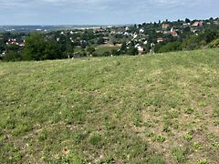 Eladó földterület Cserszegtomaj