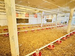 Eladó ipari Kiskunfélegyháza