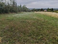 Eladó földterület Bodony