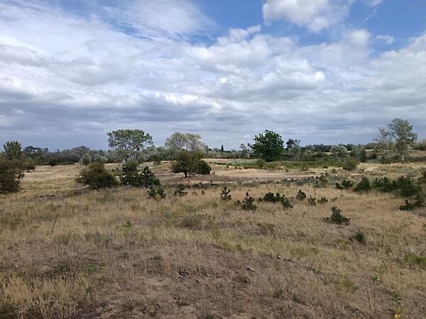 Eladó földterület Imrehegy