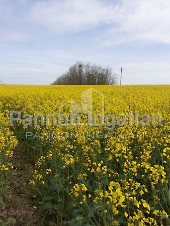 Eladó földterület Pápakovácsi