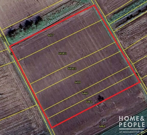 Eladó földterület Makó