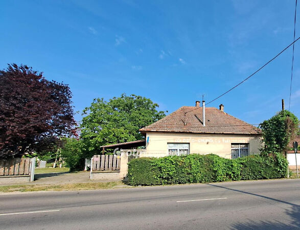 Eladó üzleti Dunapataj