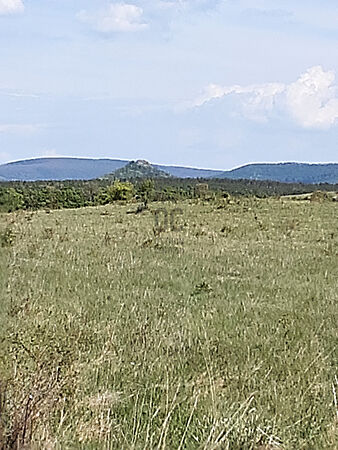 Eladó földterület Zalahaláp