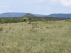 Eladó földterület Zalahaláp