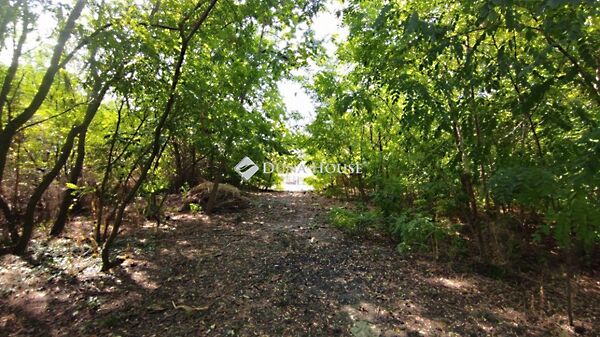 Eladó ház Ivándárda