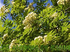 Eladó földterület Kéty