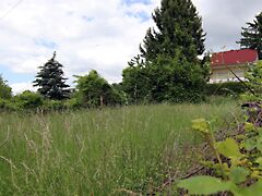 Eladó földterület Gyenesdiás