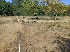 Eladó ipari Martfű