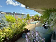 Eladó lakás Budapest, XIV. kerület