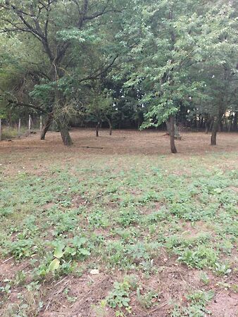 Eladó földterület Óbarok