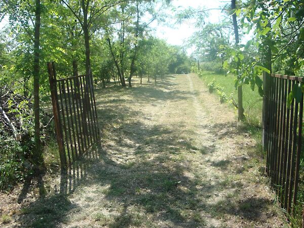 Eladó földterület Szomód