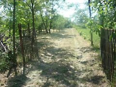 Eladó földterület Szomód