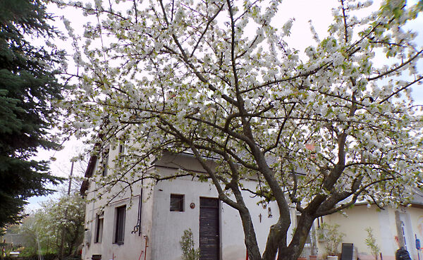 Eladó ház Balatonlelle