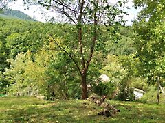 Eladó földterület Tahitótfalu, Tahi