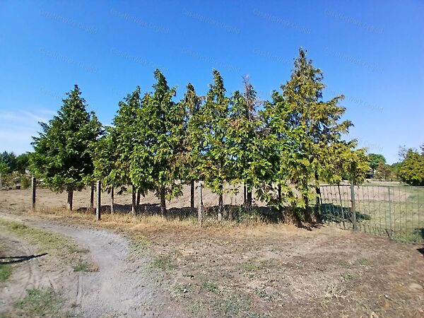 Eladó földterület Cegléd