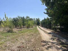 Eladó földterület Deszk