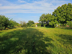 Eladó földterület Kisasszond