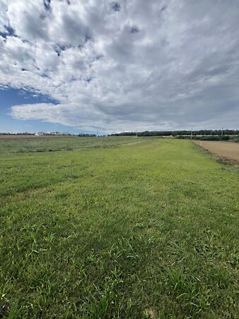 Eladó földterület Alsópáhok