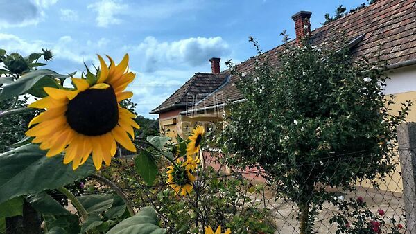 Eladó ház Somogyszentpál