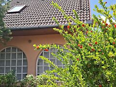 Eladó nyaraló Balatonfenyves