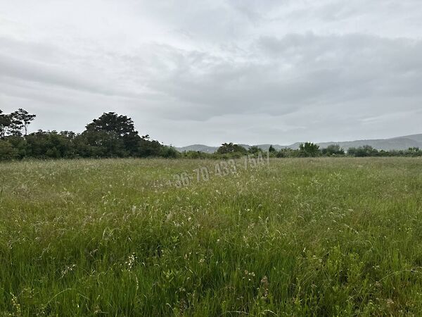 Eladó földterület Törökbálint