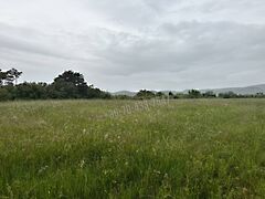 Eladó földterület Törökbálint