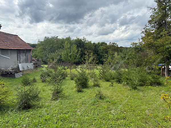 Eladó földterület Kustánszeg