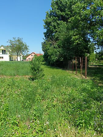 Eladó földterület Nyúl