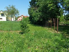 Eladó földterület Nyúl