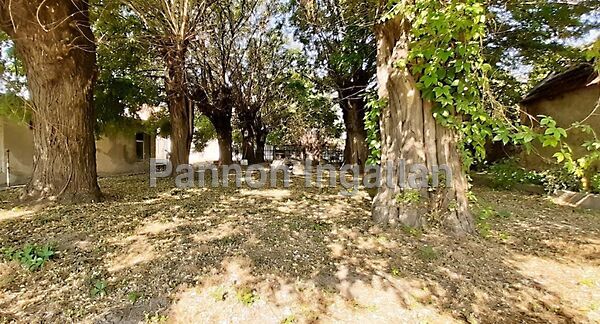 Eladó üzleti Hajmáskér