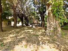 Eladó üzleti Hajmáskér