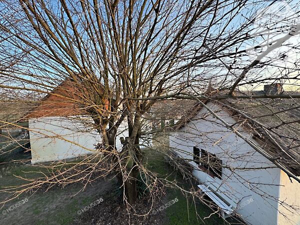 Eladó ház Bugacpusztaháza