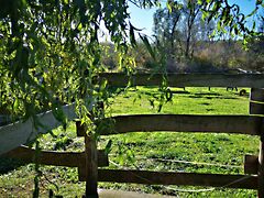 Eladó földterület Andocs