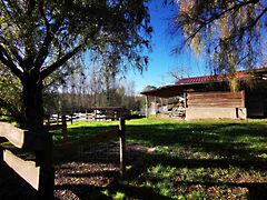 Eladó földterület Andocs