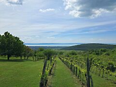 Eladó földterület Mencshely